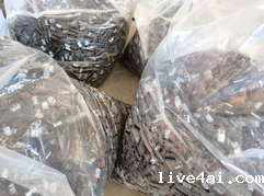 1697423002864143.png 图片.png