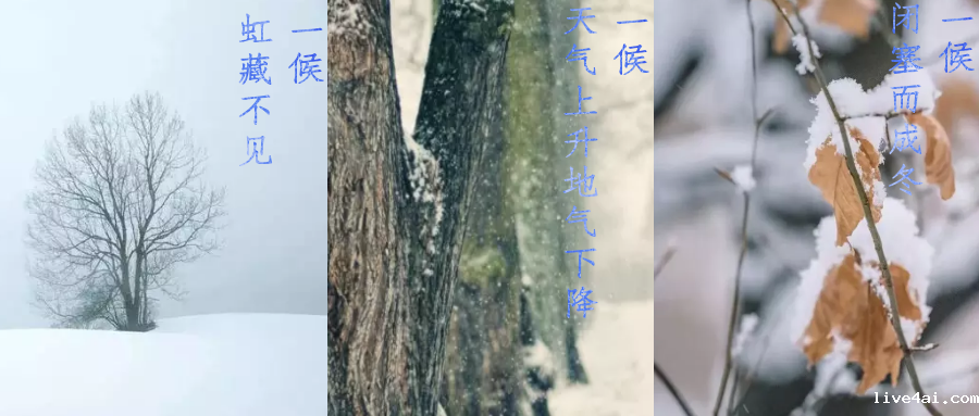 今日小雪，寒潮来袭，洗瓶机来帮你解放双手吧！